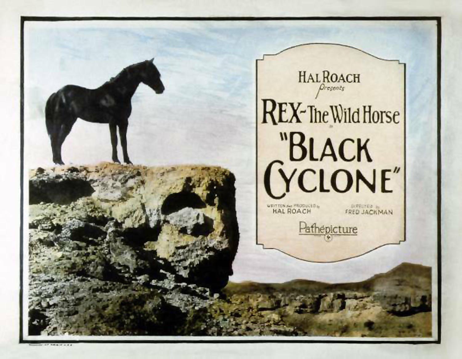 BLACK CYCLONE